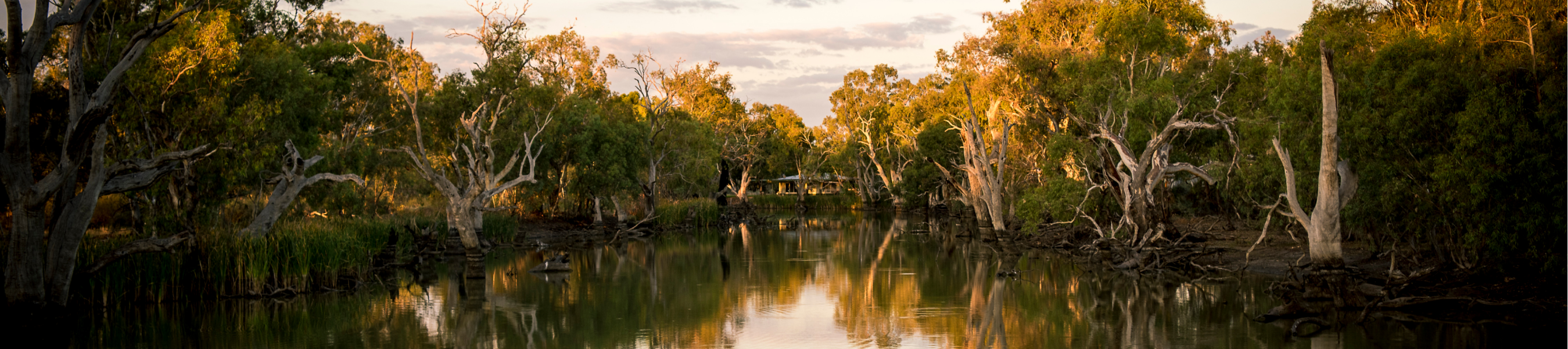 Torry Plains Homestead on Pollen Creek, Gayini (Nimmie-Caira), NSW (Photo by Annette Ruzicka/TNC)