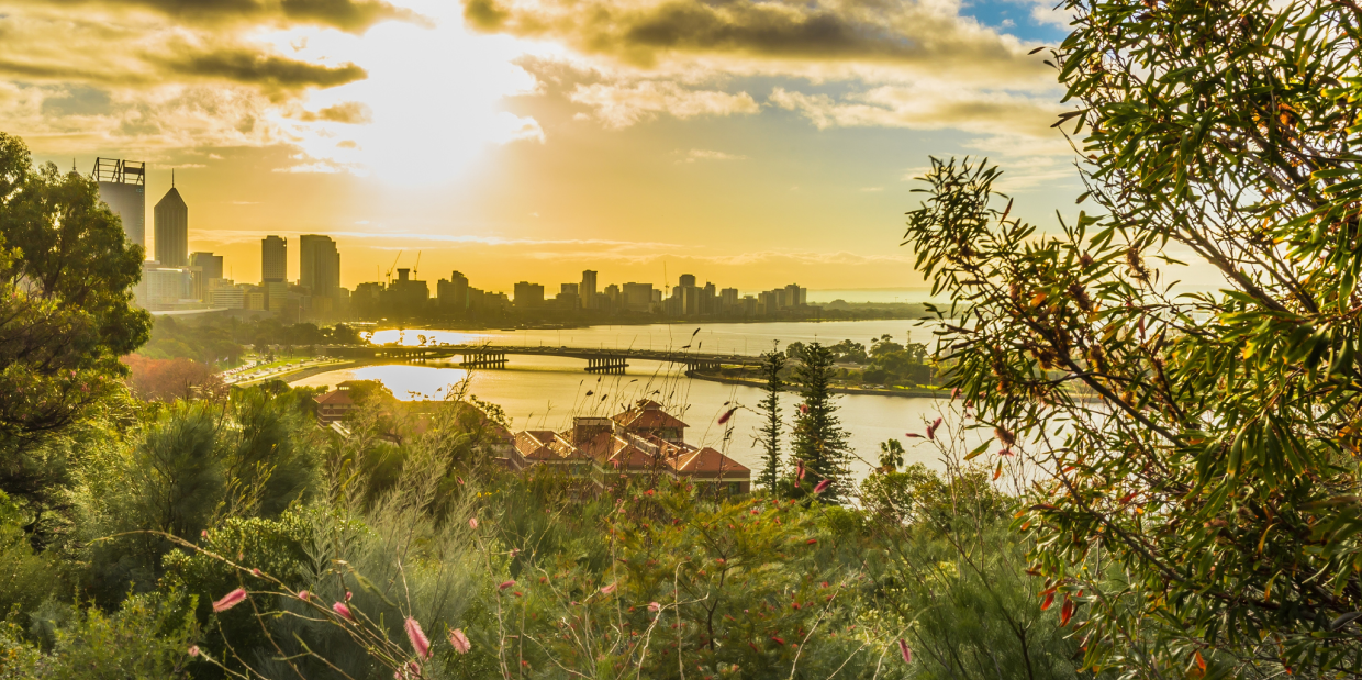 Sunrise of Perth City view at Kings Park and Botanic Garden on Mount Eliza, Perth (Photo from Getty Images)