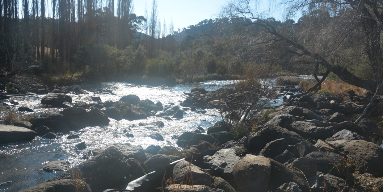 Upper Murrumbidgee River