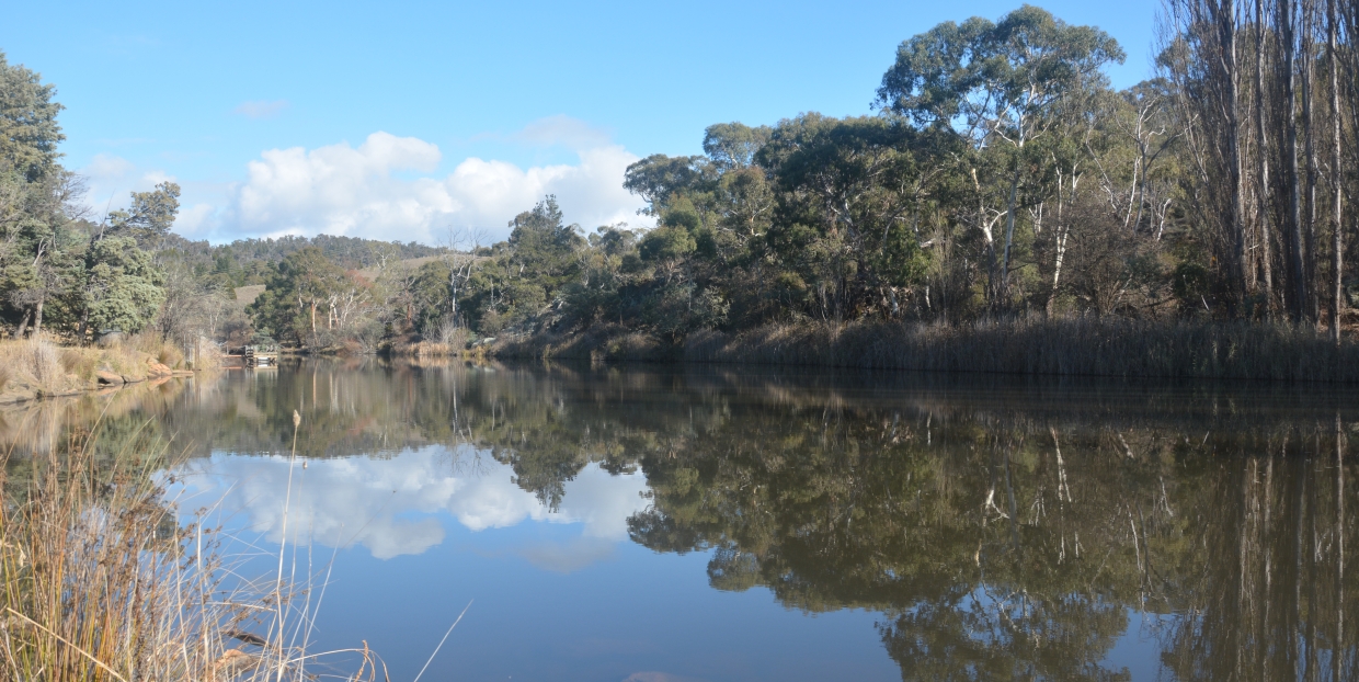 Upper Murrumbidgee River