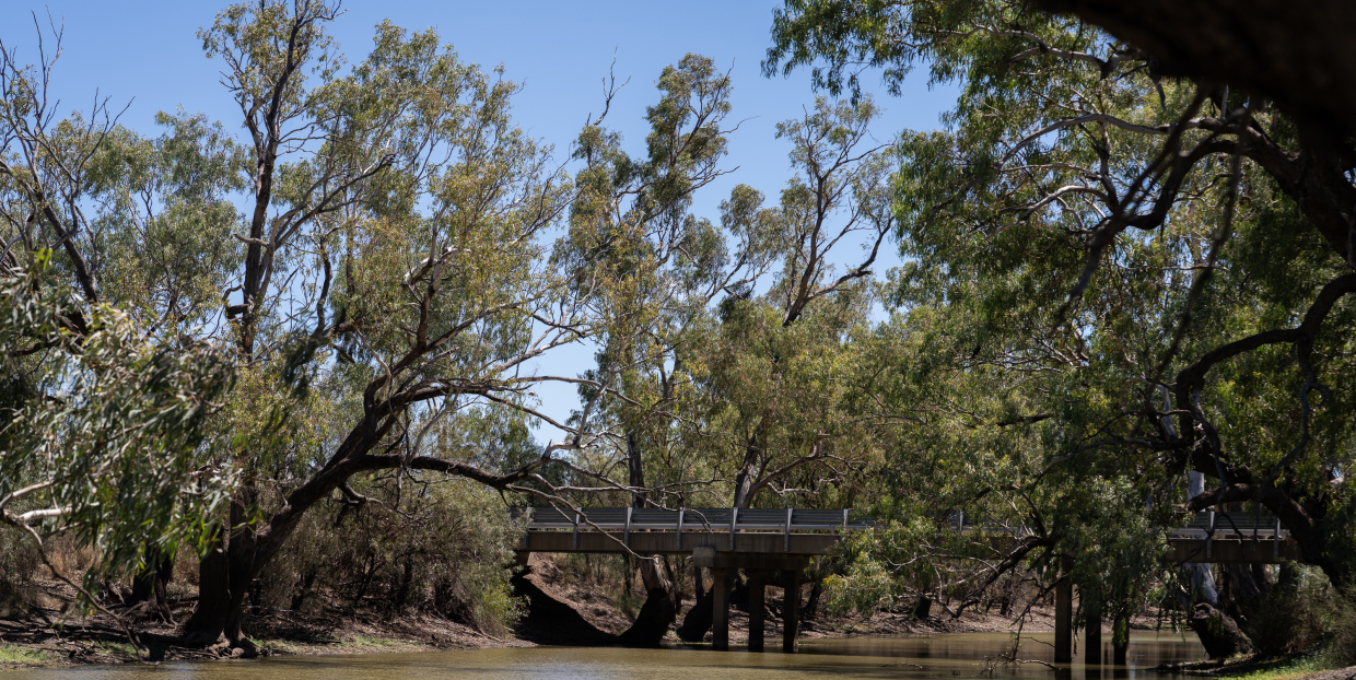 Bridge in the Lower Balonne