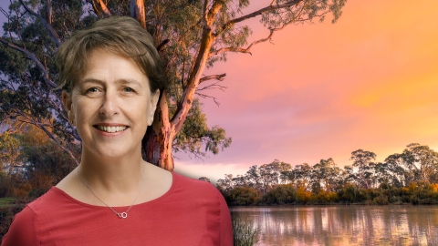 Karen Hutchinson