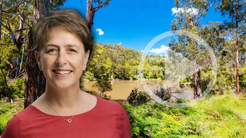 Karen Hutchinson