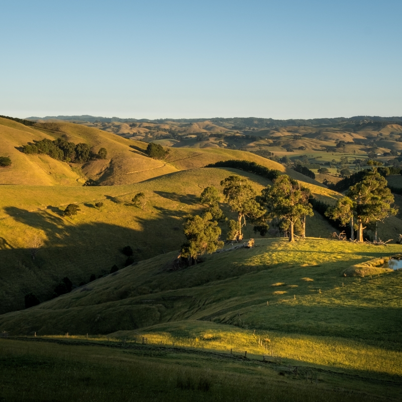 Landscape image of farmland