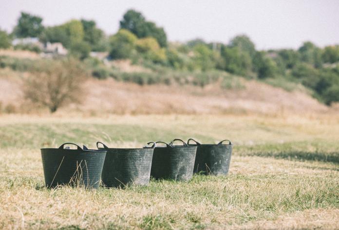 four buckets of water in a field