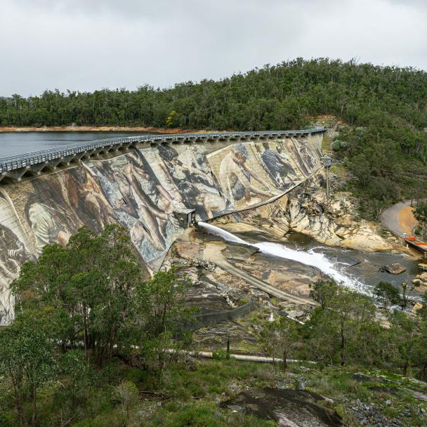 mural on a dam in western australia